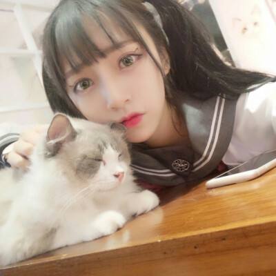 猫婆婆的幸福公寓最新版下载
